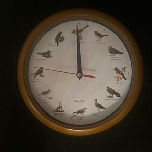 Natural Bird Illustration Wall Clock